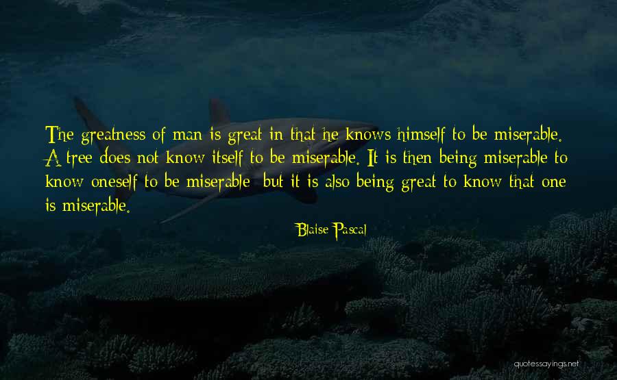 One Great Man Quotes By Blaise Pascal