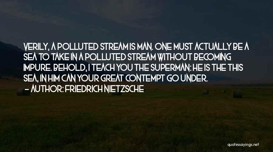 One Great Man Quotes By Friedrich Nietzsche