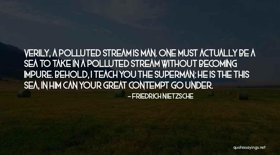 One Great Man Quotes By Friedrich Nietzsche