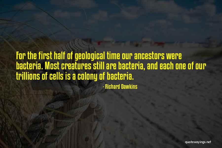 One Half Quotes By Richard Dawkins One Half Quotes By Richard Dawkins