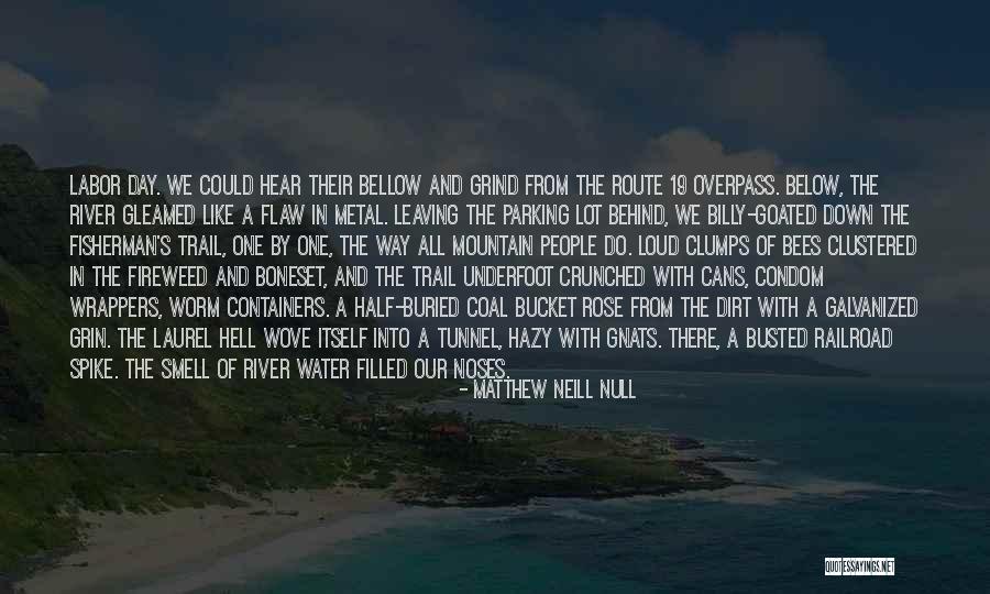 One Hell Of A Day Quotes By Matthew Neill Null