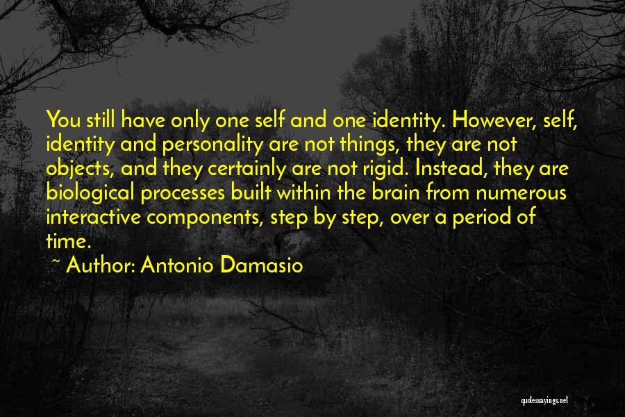 One Identity Quotes By Antonio Damasio