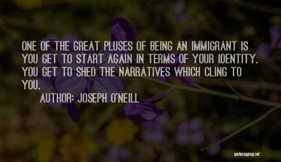 One Identity Quotes By Joseph O'Neill