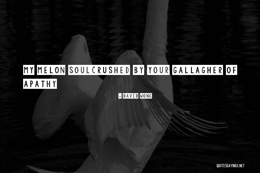 One In A Melon Quotes By David Wong One In A Melon Quotes By David Wong