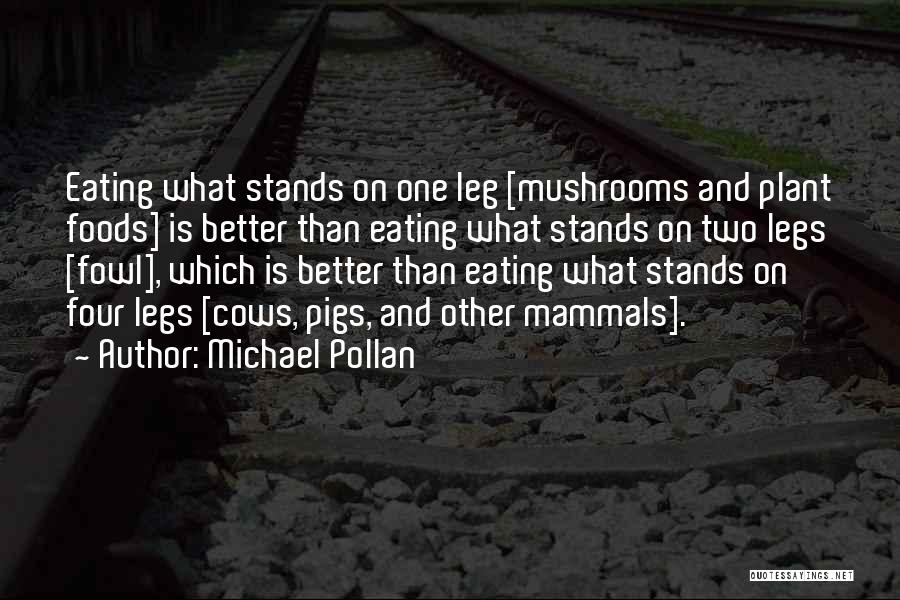 One Is Better Than Two Quotes By Michael Pollan