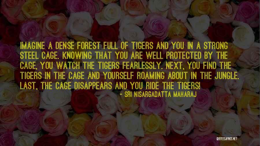 One Last Ride Quotes By Sri Nisargadatta Maharaj One Last Ride Quotes By Sri Nisargadatta Maharaj