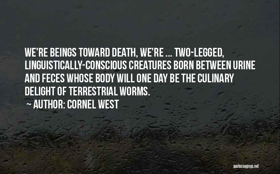 One Legged Quotes By Cornel West