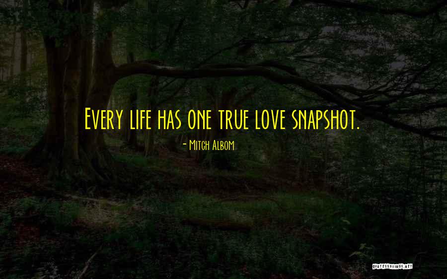 One Life One Love Quotes By Mitch Albom One Life One Love Quotes By Mitch Albom