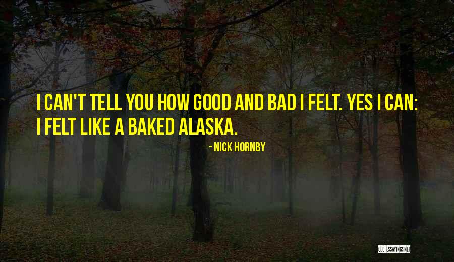 One Like Alaska Quotes By Nick Hornby