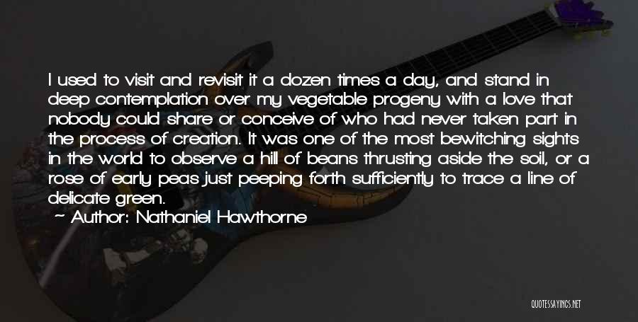 One Line In Love Quotes By Nathaniel Hawthorne