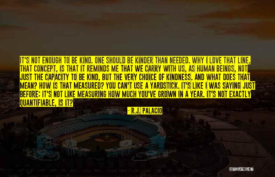 One Line Love Quotes By R.J. Palacio One Line Love Quotes By R.J. Palacio