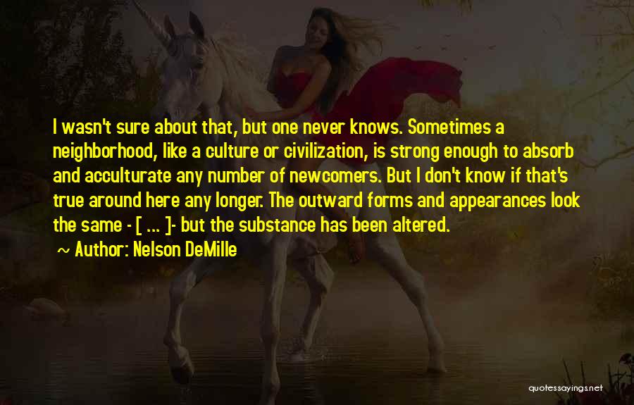 One Look Is Enough Quotes By Nelson DeMille