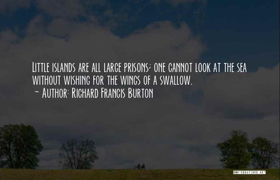 One Look Quotes By Richard Francis Burton