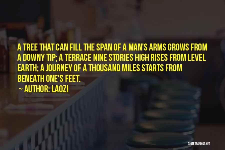 One Man Journey Quotes By Laozi