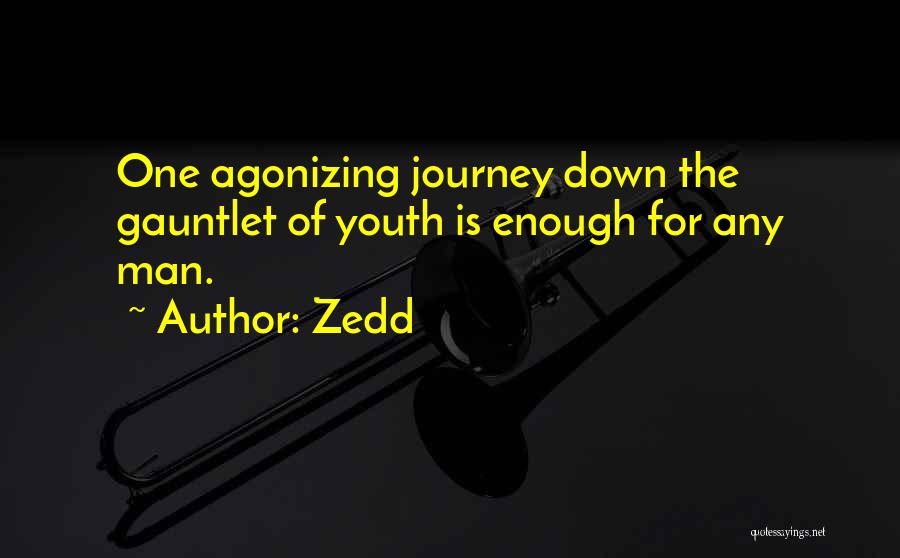 One Man Journey Quotes By Zedd