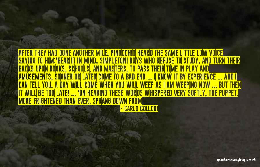 One Mile At A Time Quotes By Carlo Collodi One Mile At A Time Quotes By Carlo Collodi