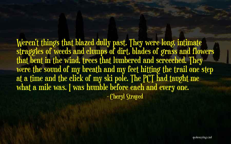 One Mile At A Time Quotes By Cheryl Strayed One Mile At A Time Quotes By Cheryl Strayed