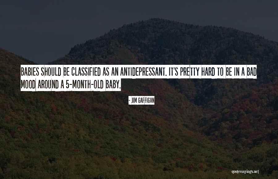 One Month Old Baby Quotes By Jim Gaffigan One Month Old Baby Quotes By Jim Gaffigan