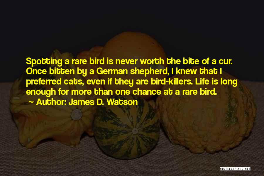 One More Chance Quotes By James D. Watson