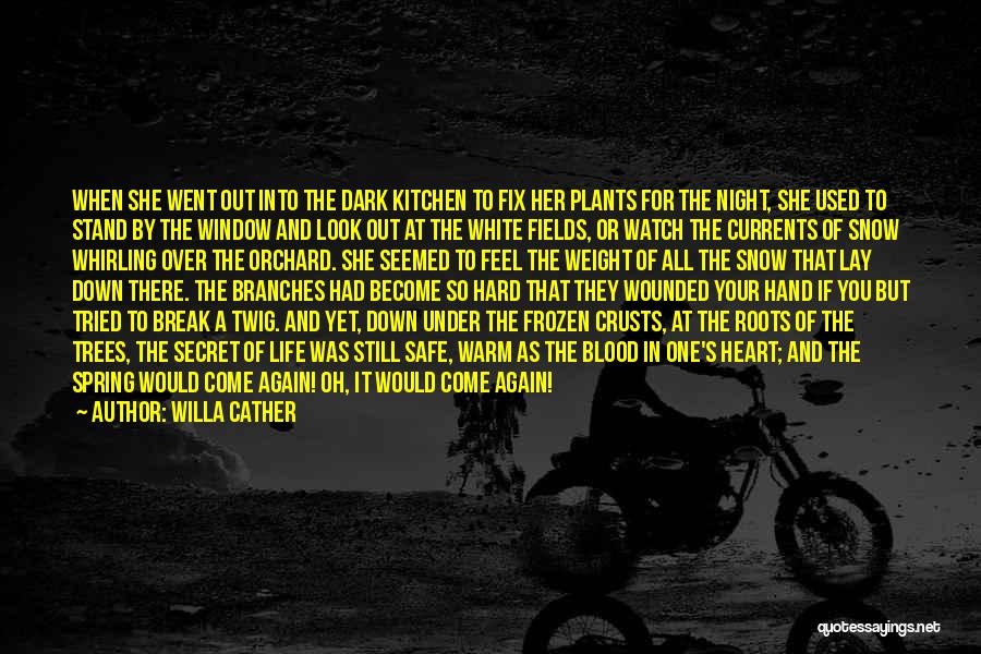One Night Stand Quotes By Willa Cather