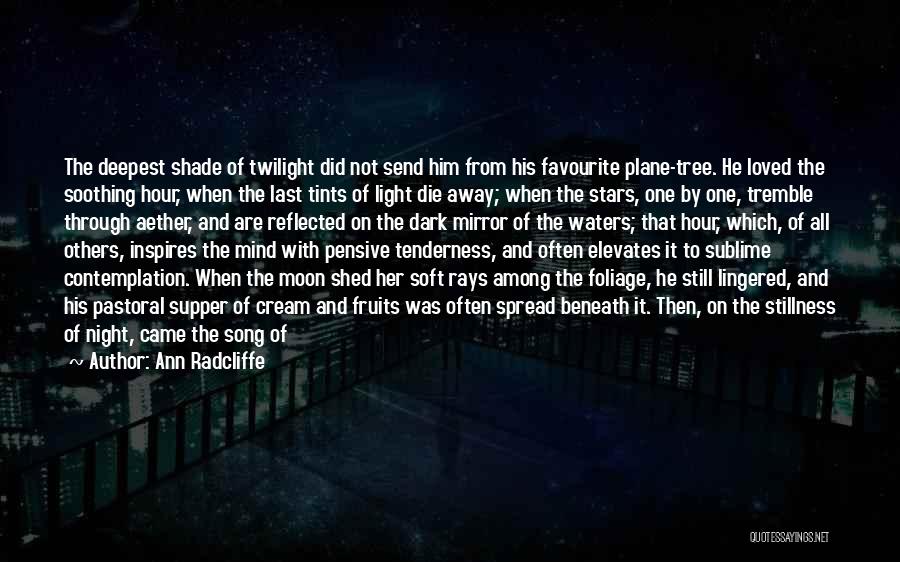 One Night The Moon Quotes By Ann Radcliffe