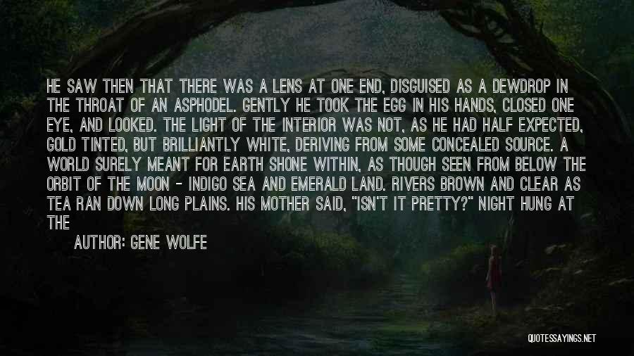 One Night The Moon Quotes By Gene Wolfe