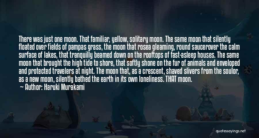 One Night The Moon Quotes By Haruki Murakami
