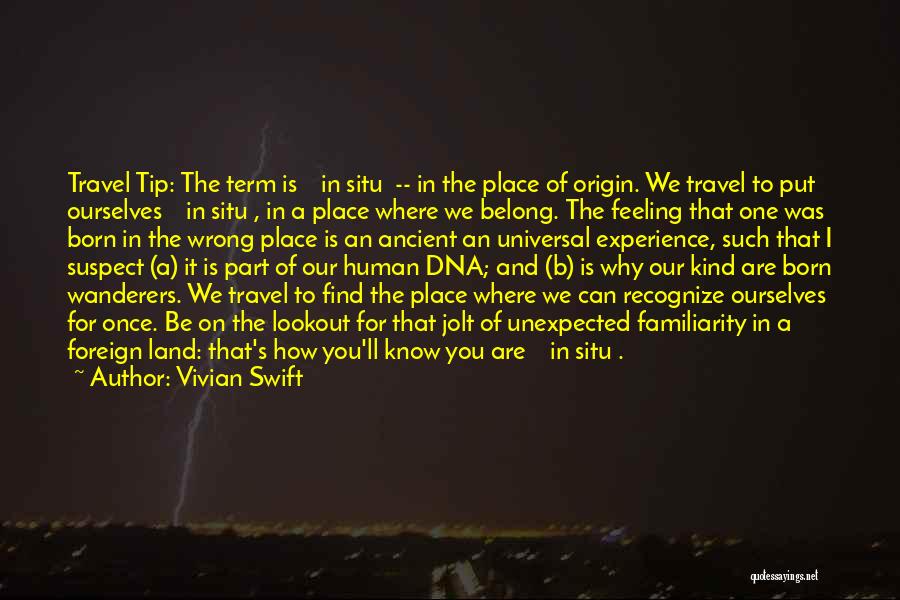 One Of A Kind Experience Quotes By Vivian Swift