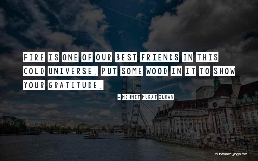 One Of Your Best Friends Quotes By Mehmet Murat Ildan