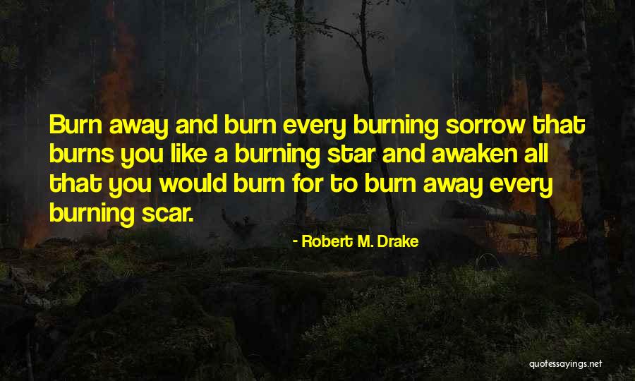 One Piece New Era Quotes By Robert M. Drake One Piece New Era Quotes By Robert M. Drake