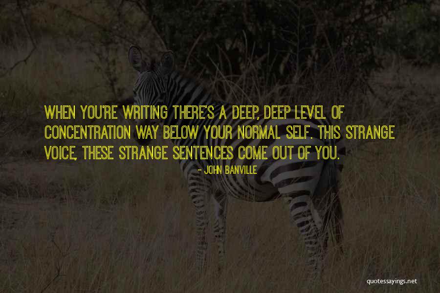 One Pointed Concentration Quotes By John Banville One Pointed Concentration Quotes By John Banville