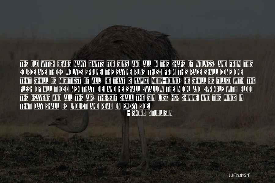 One Race One Blood Quotes By Snorri Sturluson One Race One Blood Quotes By Snorri Sturluson