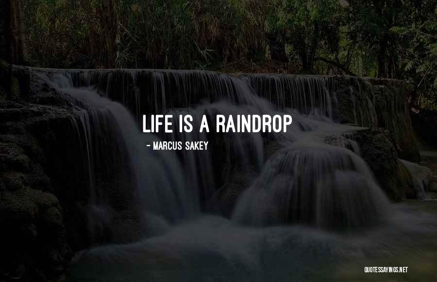 One Raindrop Quotes By Marcus Sakey One Raindrop Quotes By Marcus Sakey