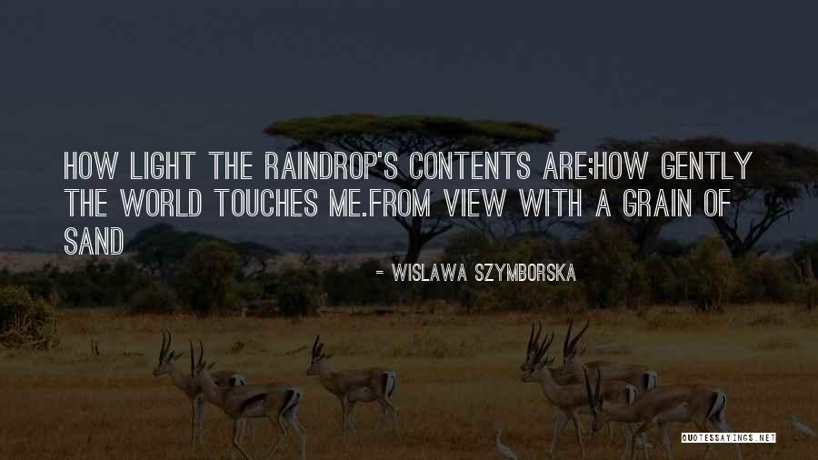One Raindrop Quotes By Wislawa Szymborska One Raindrop Quotes By Wislawa Szymborska