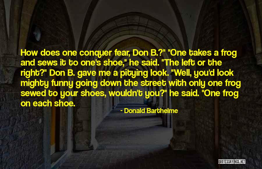 One Shoe Quotes By Donald Barthelme One Shoe Quotes By Donald Barthelme
