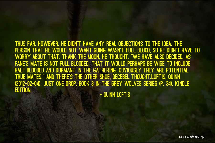 One Shoe Quotes By Quinn Loftis One Shoe Quotes By Quinn Loftis
