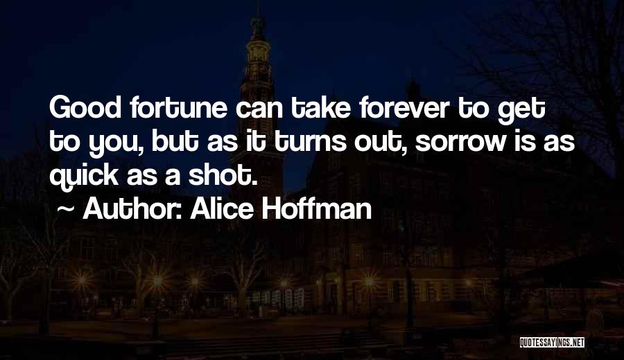 One Shot At Forever Quotes By Alice Hoffman