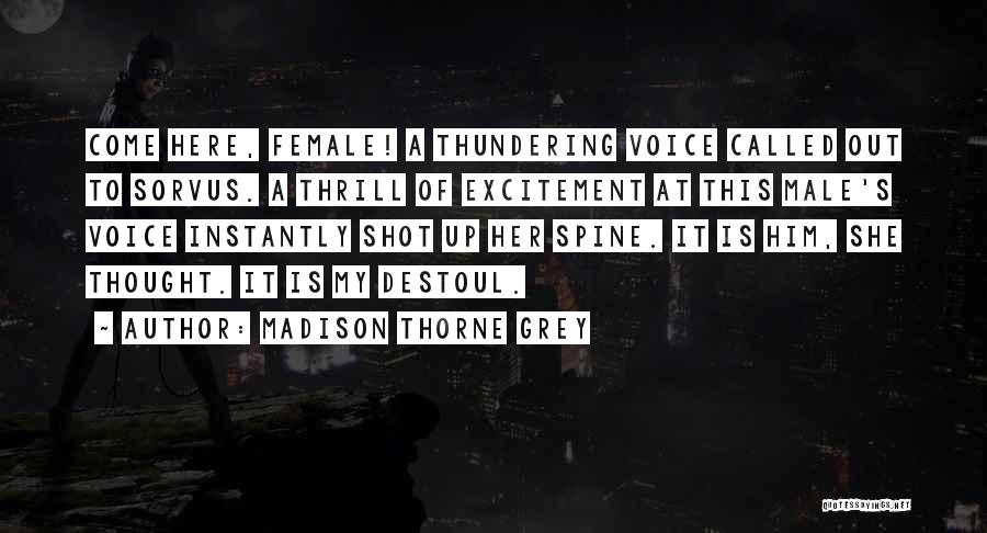 One Shot Book Quotes By Madison Thorne Grey
