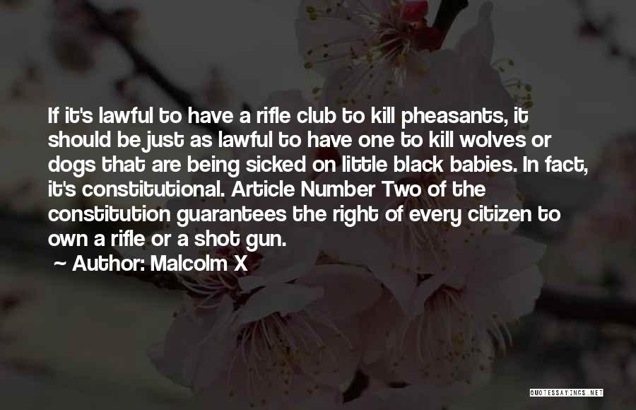One Shot One Kill Quotes By Malcolm X