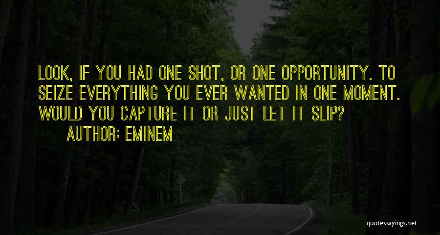 One Shot Opportunity Quotes By Eminem