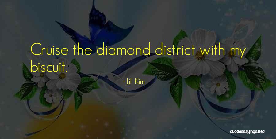 One Sided Opinions Quotes By Lil' Kim