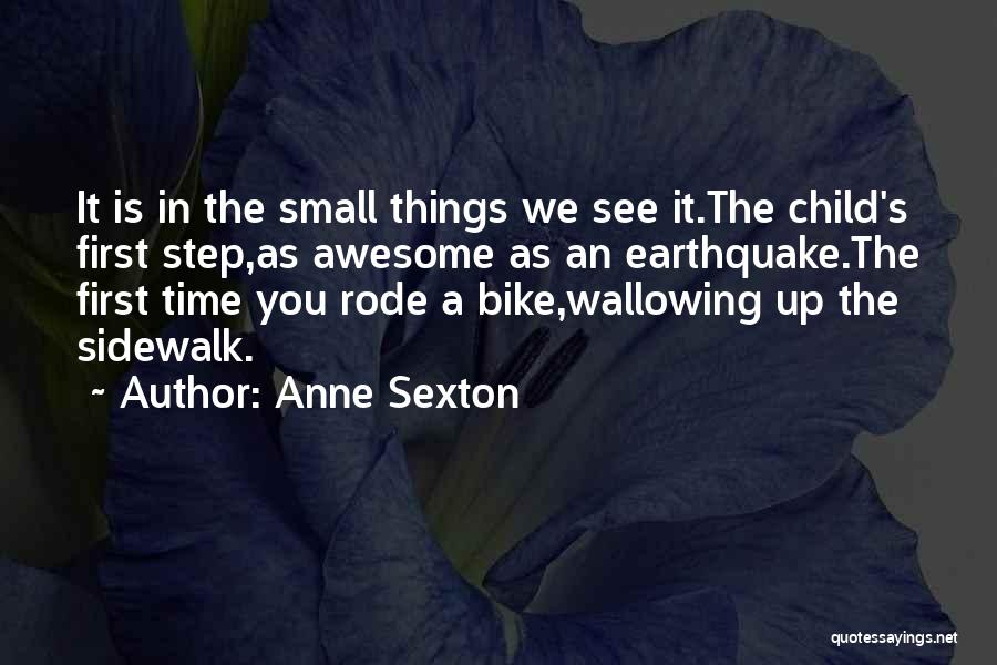 One Small Step At A Time Quotes By Anne Sexton