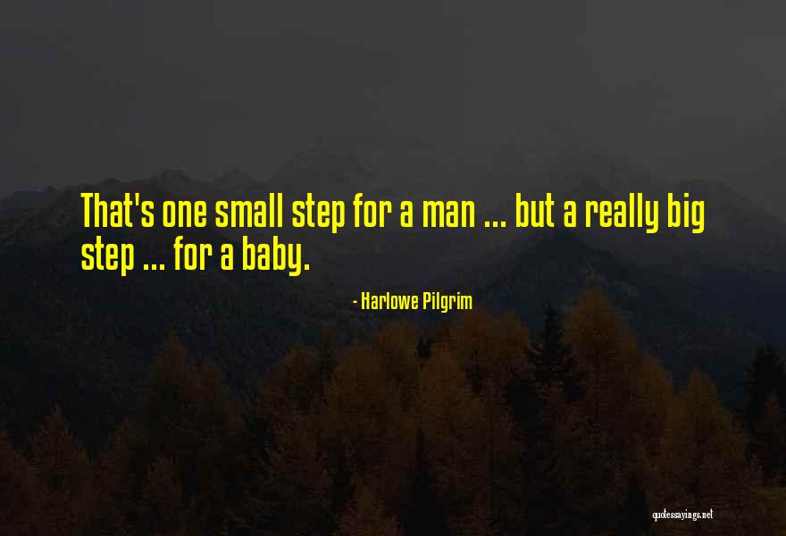 One Small Step Quotes By Harlowe Pilgrim