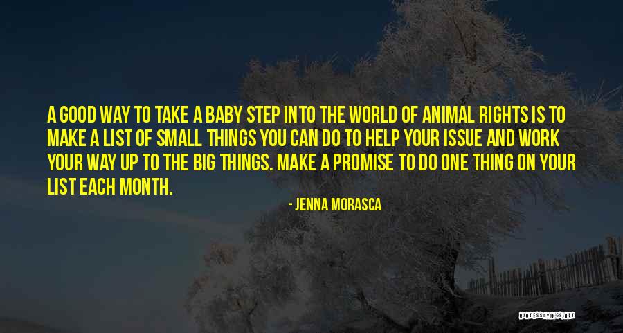 One Small Step Quotes By Jenna Morasca