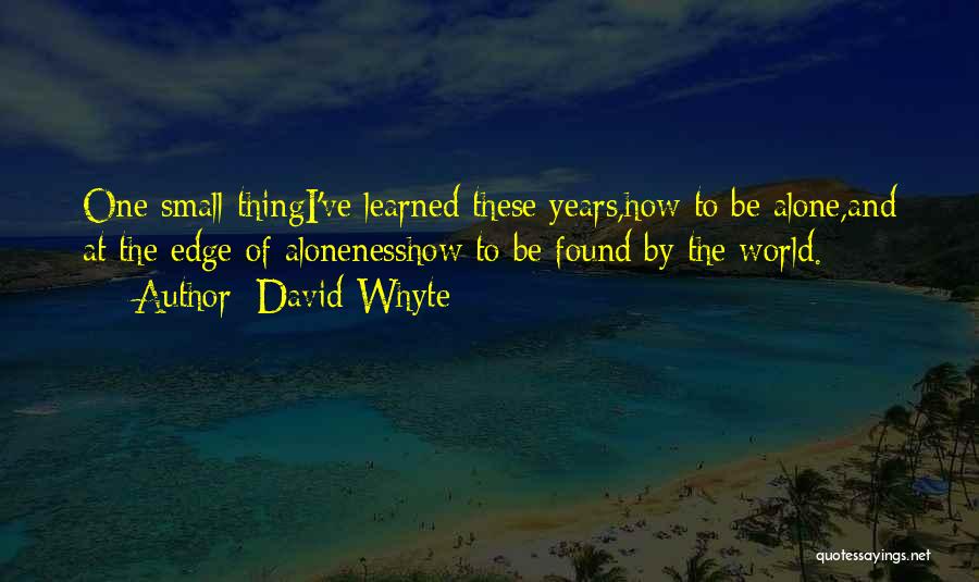 One Small Thing Quotes By David Whyte