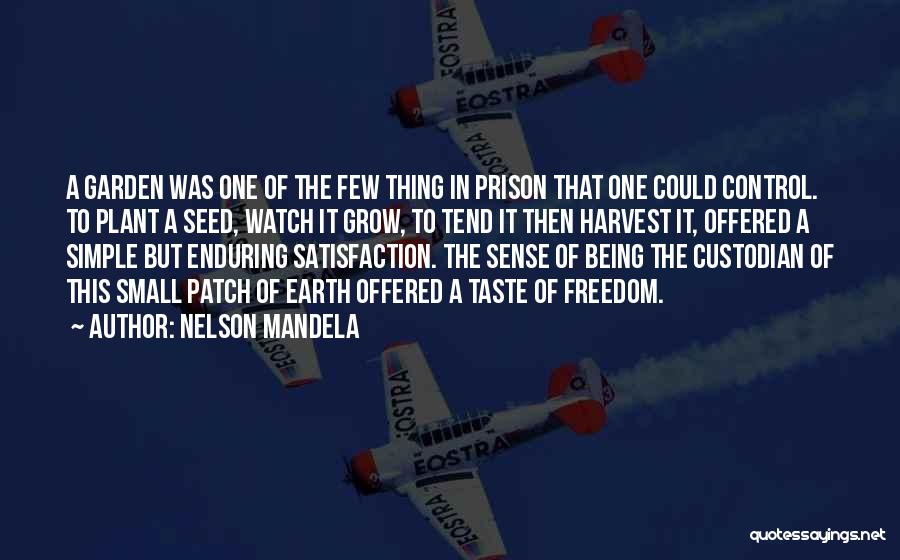 One Small Thing Quotes By Nelson Mandela