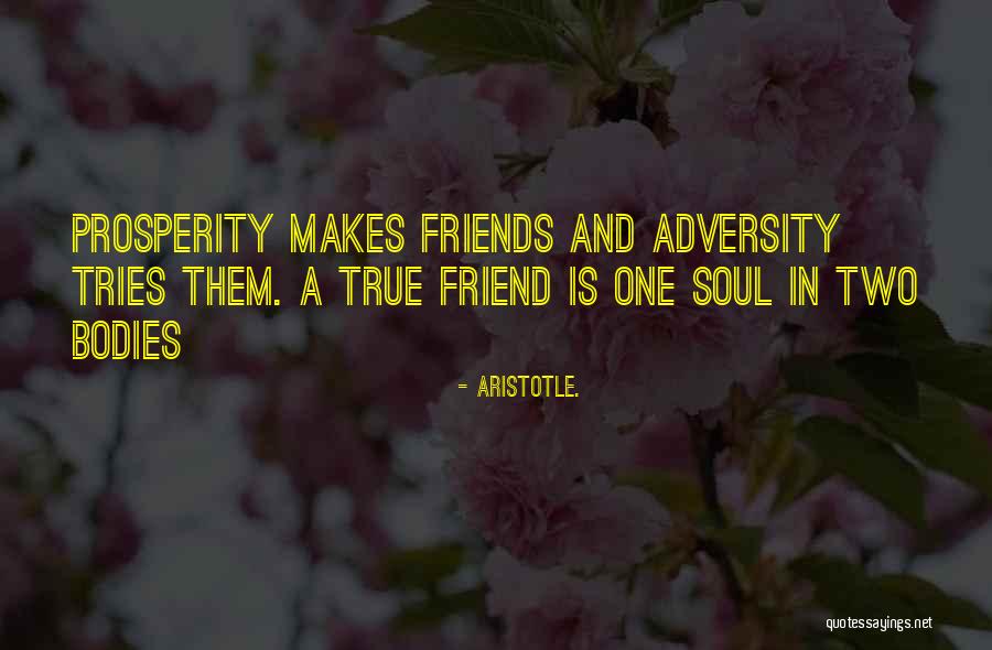 One Soul Two Bodies Quotes By Aristotle.