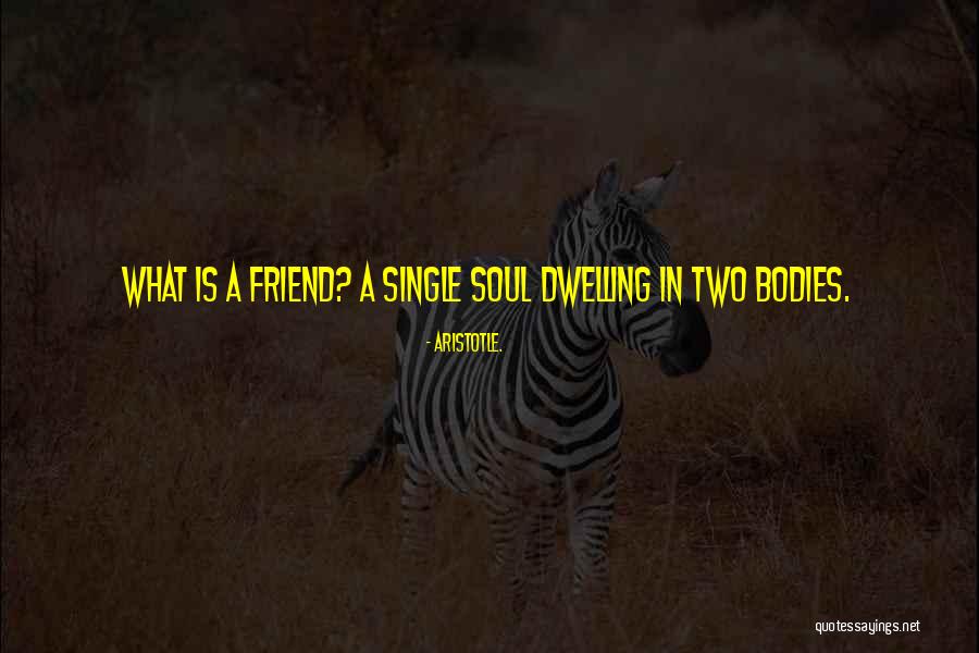 One Soul Two Bodies Quotes By Aristotle.