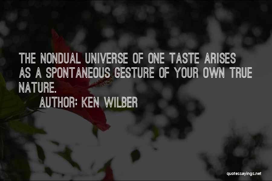 One Spontaneous Quotes By Ken Wilber