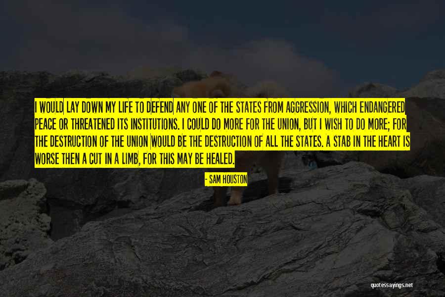 One Stab Quotes By Sam Houston One Stab Quotes By Sam Houston